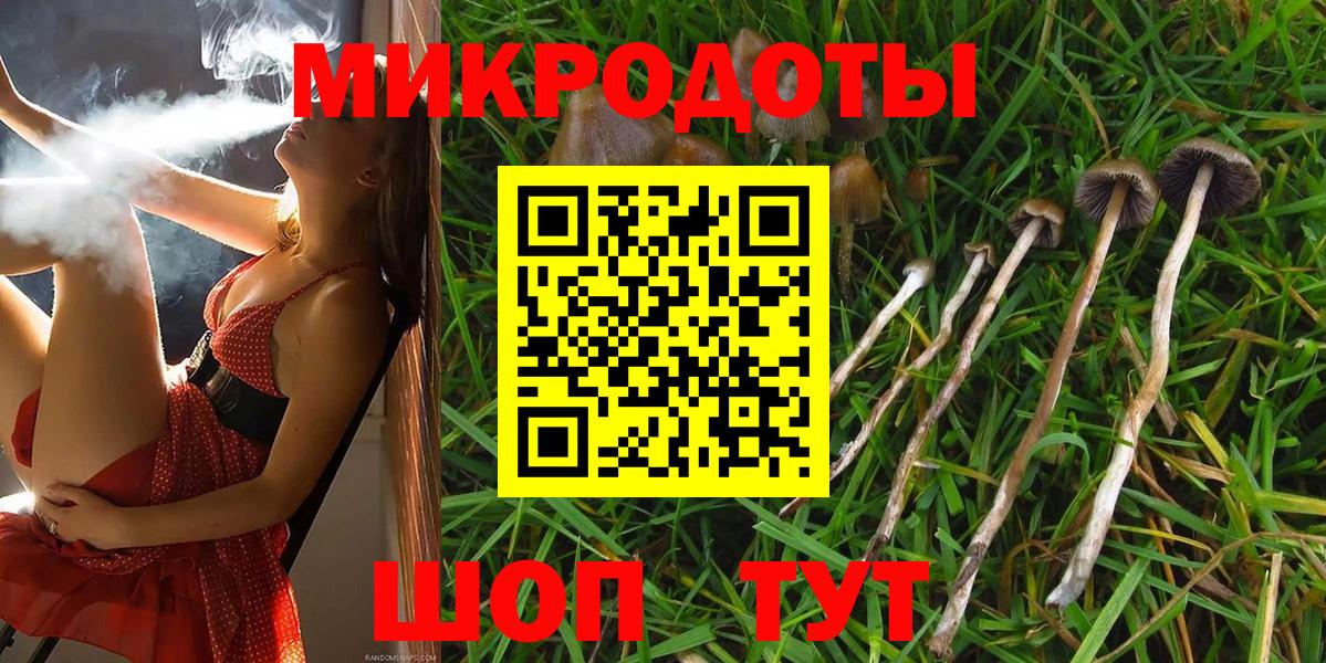 Галлюциногенные грибы мицелий  Вход с VPN  цена наркотик  Шатура 